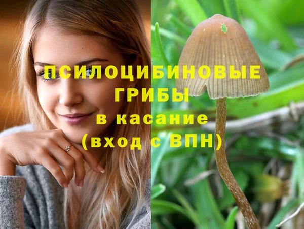 сатива Михайлов