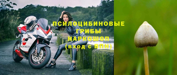 эйфоретик Медногорск