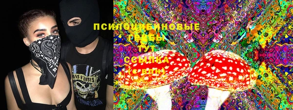 сатива Михайлов