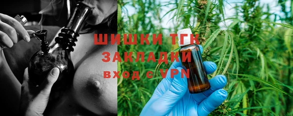 сатива Михайлов