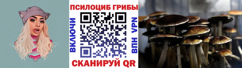 Псилоцибиновые грибы Psilocybine cubensis  цены   Микунь 